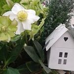 Giardino di Peter - @giardino_di_peter - Instagram