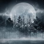 Peter Giardino - @giardinopeter - Instagram