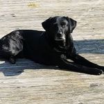 Peter Giesen - @peter.giesen.311 - Instagram