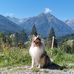 Peter Gieser - Facebook