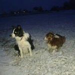 Peter Gieser - @petergieser - Instagram