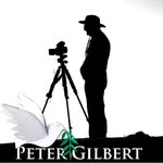 Peter Gilbert - @petergilbert6 - Instagram