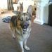 Peter Gillam - Facebook
