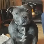 Peter Gillespie - @peter.gillespie1 - Instagram
