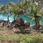 Peter Gillespie - @peter.gillespie.9843 - Instagram