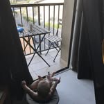 Peter Gilmer - @gilmerp - Instagram