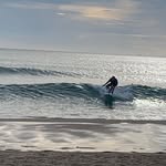 Peter Ginns - @ginnspeter - Instagram