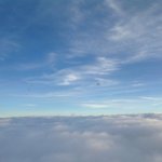 Peter Givens - @moffedoutg - Instagram