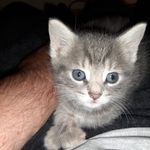Peter Glaser - @peter.glaser.37 - Instagram