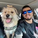 Pedro - @peter_godag - Instagram