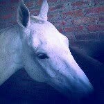 Peter Godanyi - @petergodanyi - Instagram