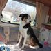 Peter Goddard - Facebook