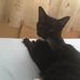 Peter Godden - Facebook