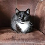 Peter Goetz - @goetz6508 - Instagram