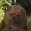 Petergoetzsum - @petergoetzsum - TikTok