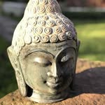 Peter Golding - @goldi244 - Instagram