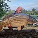 Peter Golding - @petergolding704 - Instagram