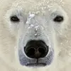 Peter Gole232 - @petergole232 - TikTok