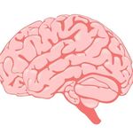 Peter Gooley - @alzheimerscommunication - Instagram