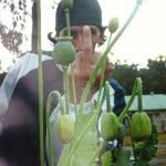 Peter Goralski - @shakey_pete_nofxer - Instagram