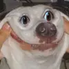 Peter Rogalski - @peter_r14 - TikTok