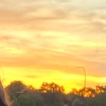 @peter.gordan34 - Instagram