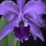 peter gorecki - @gorecki.peter - Instagram