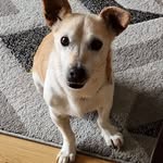 Peter Gorman - @peter.gorman.16 - Instagram