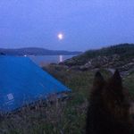 Peter Gorrie - @petergorrie62 - Instagram