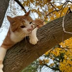 Peter Gottwald - Facebook