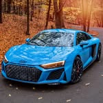 petergougeon17 - @gougeonpeter91 - Instagram