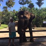 Peter Gover - @dadgover - Instagram