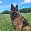 petergrabowski1 - @petergrabowski1 - TikTok