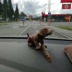 Peter grabenhofer - @petergrabenhofer - Instagram