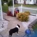Pete Grable - Facebook