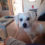 Peter Graham - Facebook