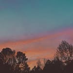 @petergrandjean_ - Instagram