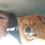 Peter La Grange - @lagrangepeter - Instagram