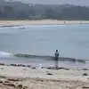 PETER GRANT - @peter.grant3 - TikTok