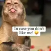 Peter Grant - @peter.grant5 - TikTok