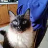Peter Grau - @peter.grau4 - TikTok