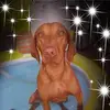 Hans-Peter Graumann - @user63s1n0tnpf - TikTok