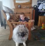Peter Graydon - Facebook
