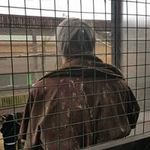 Peter Greenan - @peter.greenan - Instagram