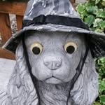 Peter Grill - @peter.grill.3705 - Instagram