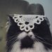 Peter Grilli - Facebook