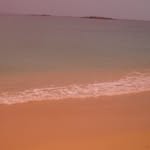 Peter Grósza - @petergrosza - Instagram