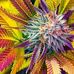 Peter Grout - Facebook