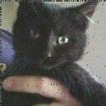 Peter Grumbles - @silkenclasi.icolection - Instagram