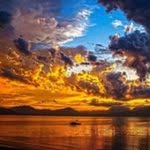 @petergrumblesvef - Instagram